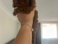 Teacup poodle en küçük boy