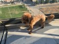 GÜZEL BAKIMLI KIZIMIZA YUVA ARIYORUZ