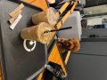 Orijinal Poodle Toy erkek 4 aylık 