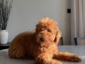 Yavrumuz için iletişime geçin yardımcı olacağım