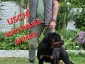 08.04.2025 doğumlu Dişi