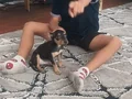 Karamel kızımız sessiz sakin daha bebek