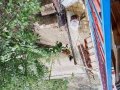 ️ En güzel dost, en saf sevgi