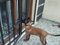 Bu Fırsat Kaçmaz 