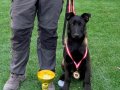 Böylesi görülmemiş bir köpek