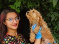 RENK RENK MALTİPOO YAVRULARİMİZ 