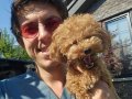 MİKRO TOy POOdLE YAVRULARIMIZ