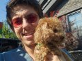 MİKRO TOy POOdLE YAVRULARIMIZ