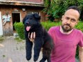 Siyah Alman Çoban Köpeği Yavrularımız