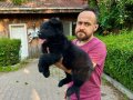 Siyah Alman Çoban Köpeği Yavrularımız