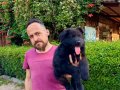 Siyah Alman Çoban Köpeği Yavrularımız