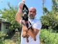 Doberman Yavru En kalitelisi en özeli bizde var 