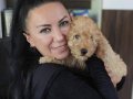 %100 IRK GARANTİLİ TOY POODLE YAVRULAR 