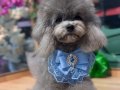 KORE SİLVER POODLE VONALP PETSHOPTAN