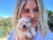 Safkan Pomeranian Yavruları