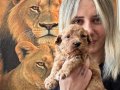 Toy Poodle Yavruları