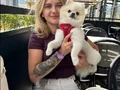 Pomeranian Yavrularımız