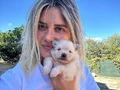 Pomeranian Yavrularımız