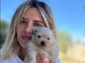 Pomeranian Yavrularımız