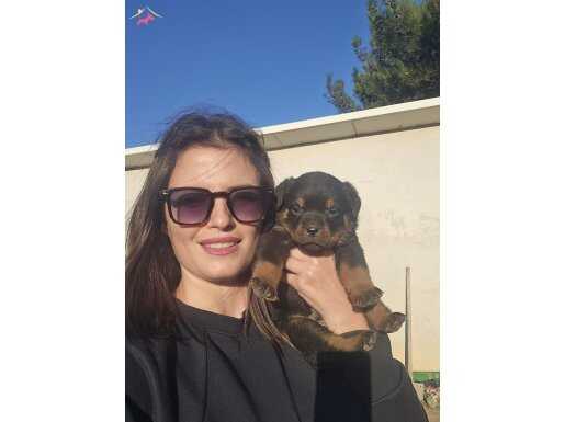 ANNE BABA SCRLI ŞAMPIYON EVLATLARI