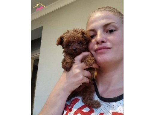 Kilo ve ırk garantili Bebeklerim