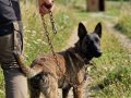 Bebişlerimiz yeni doğdu yeni sahiplerine şimdiden hayırlısı