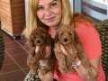 Tüy Dökmez A Kalite Mükemmel Toy Poodle Yavrularımız