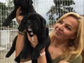 Koca Kafa Muhteşem Cane Corso Yavrularımız