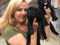 Koca Kafa Muhteşem Cane Corso Yavrularımız