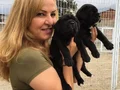 Koca Kafa Muhteşem Cane Corso Yavrularımız