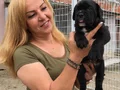Koca Kafa Muhteşem Cane Corso Yavrularımız