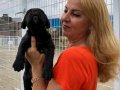 Muhteşem Anne Babadan Mükemmel Cane Corso Yavrularımız
