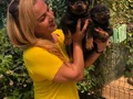Macar Koca Kafa Muhteşem Rottweiler Yavrularımız 