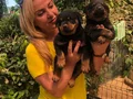 Macar Koca Kafa Muhteşem Rottweiler Yavrularımız 