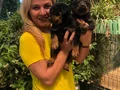 Macar Koca Kafa Muhteşem Rottweiler Yavrularımız 