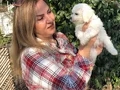 Pamuk Şeker Maltese Terrier Yavrularımız 