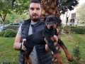 Show Kalite King Doberman Yavrular Mağazamızda