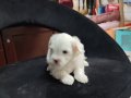 Lekesiz bebegimiz hazır