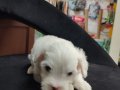 Lekesiz bebegimiz hazır