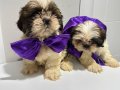 Shihtcu