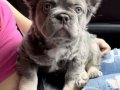 FLUFFY EN İYİSİ DAHA İYİSİ İÇİN DOĞRU ADRESTESİNİZ 