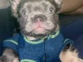 FLUFFY EN İYİSİ DAHA İYİSİ İÇİN DOĞRU ADRESTESİNİZ 