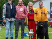 İZMİR-ANKARA-İST.-KOCAELİ ve civarına FCI-A ŞECERELİ YAVRU