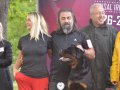 İZMİR-ANKARA-İST.-KOCAELİ ve civarına FCI-A ŞECERELİ YAVRU
