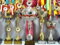 FCI KIF A ŞECERELİ ŞAMPİYON YAVRUSU