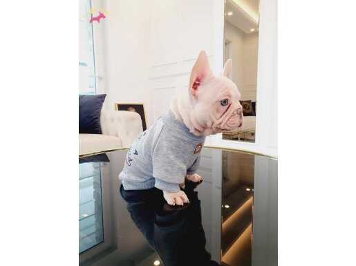 MUHTEŞEM ANATOMİ ÖZEL RENK BEBEKLER