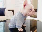 MUHTEŞEM ANATOMİ ÖZEL RENK BEBEKLER