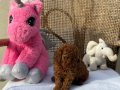 Bebek surat en koyu renk toypoodle bebişler
