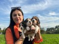 Elizabeth beagle yavrularım