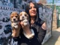 SAFKAN ELİZABET BEAGLE YAVRULARIM 